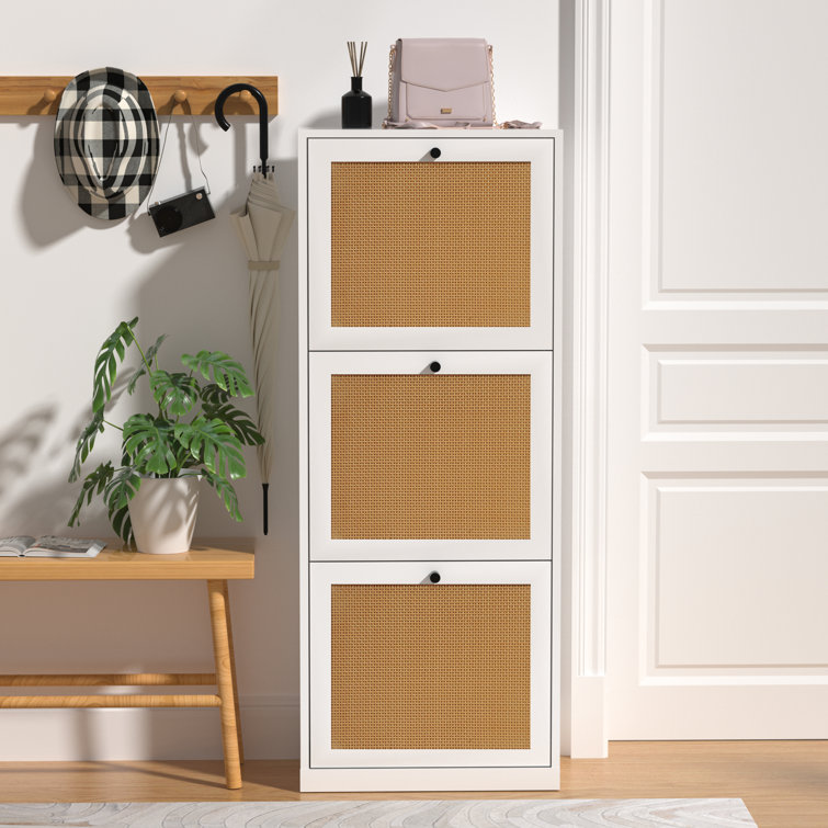 Shoe storage cabinet discount wayfair